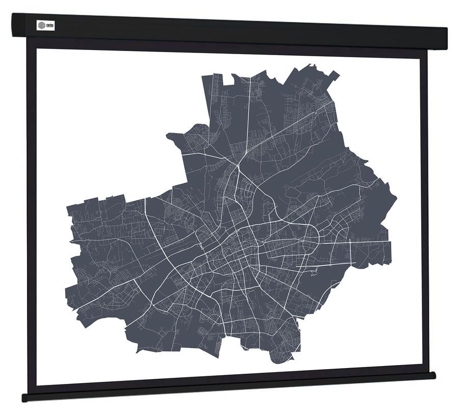 Экран Cactus 152x203см Wallscreen CS-PSW-152X203-BK 4:3 настенно-потолочный рулонный черный