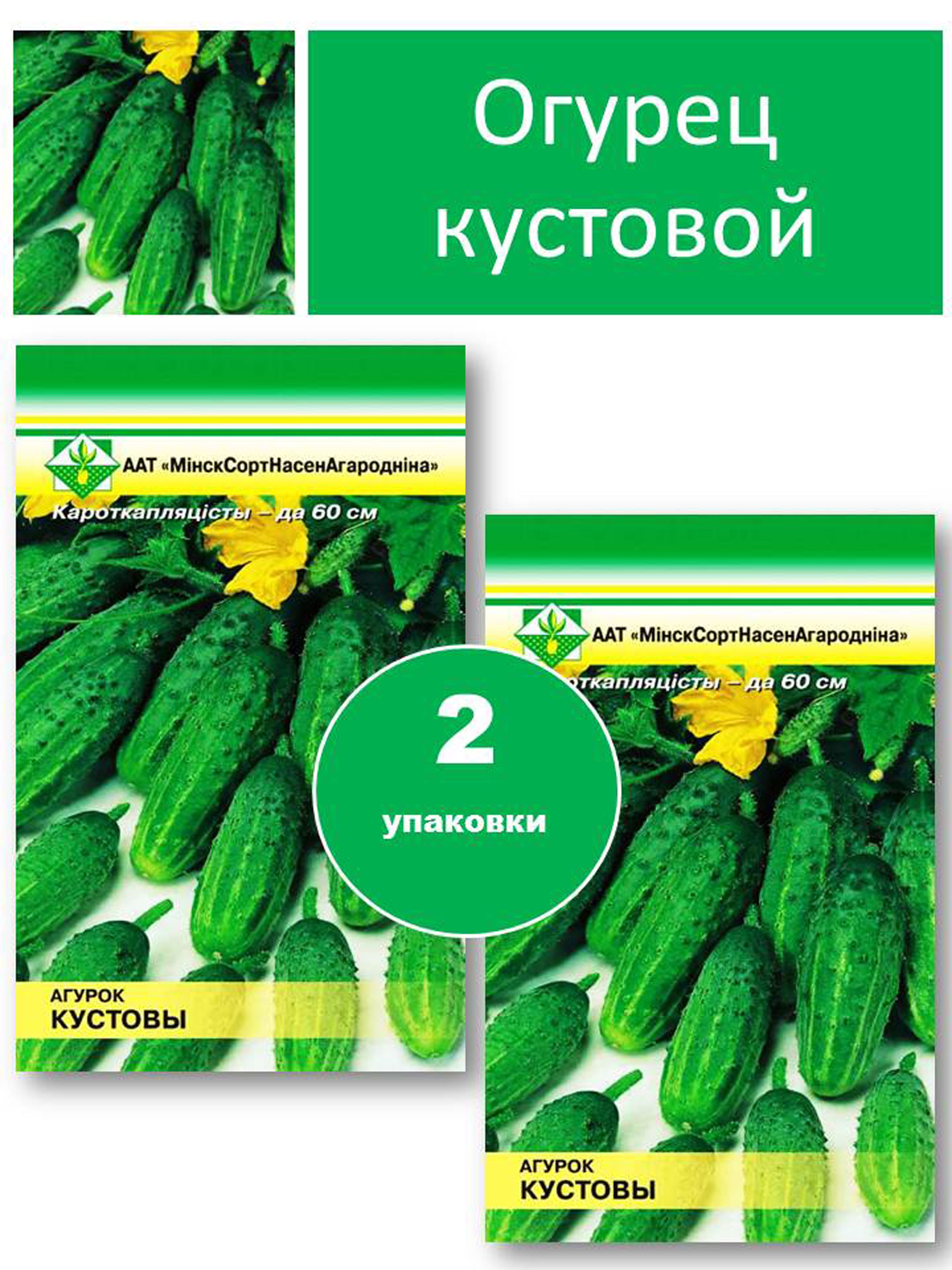 Купить Семена Огурцов Кустовой