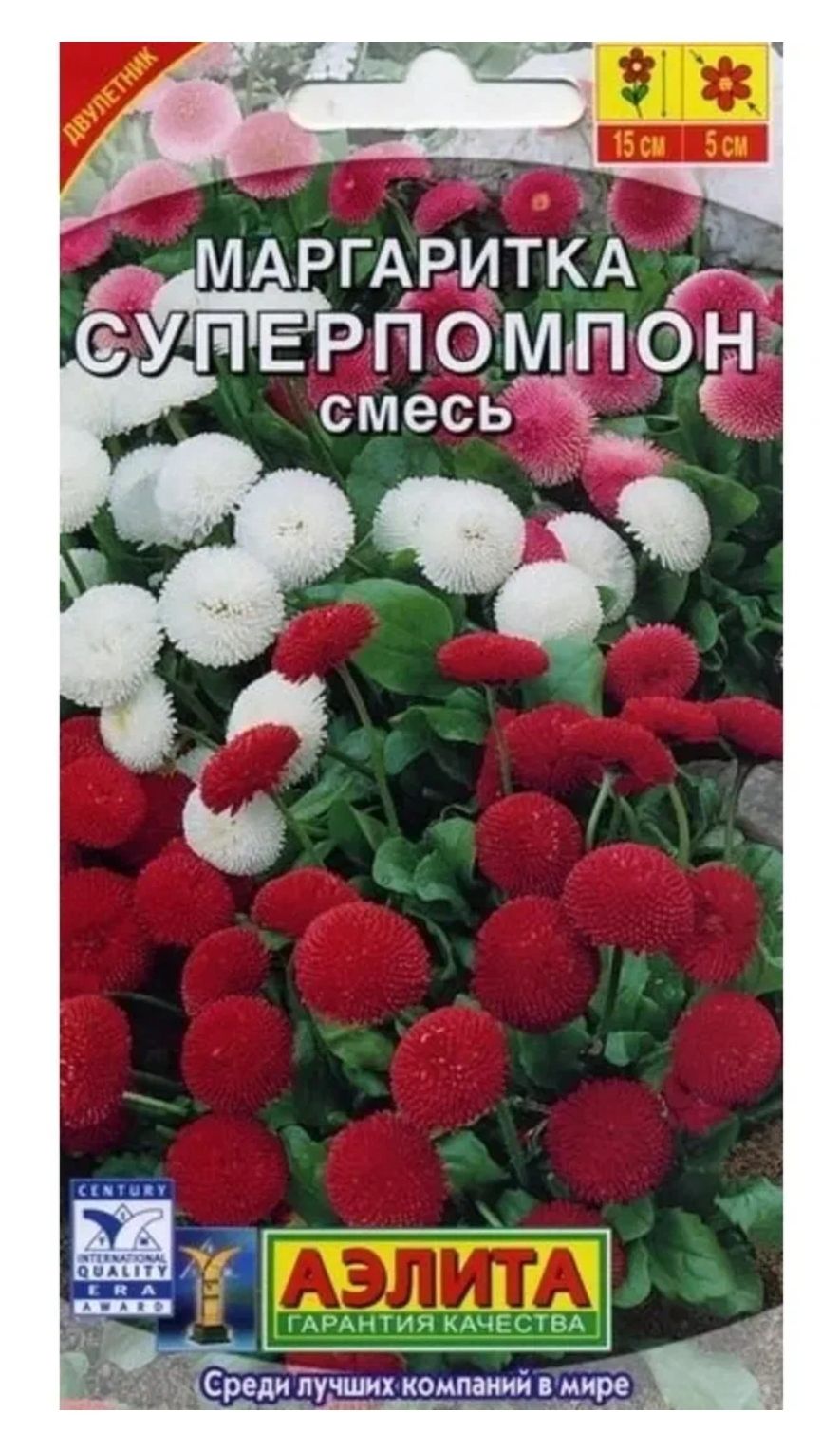 Маргаритки Семена Купить