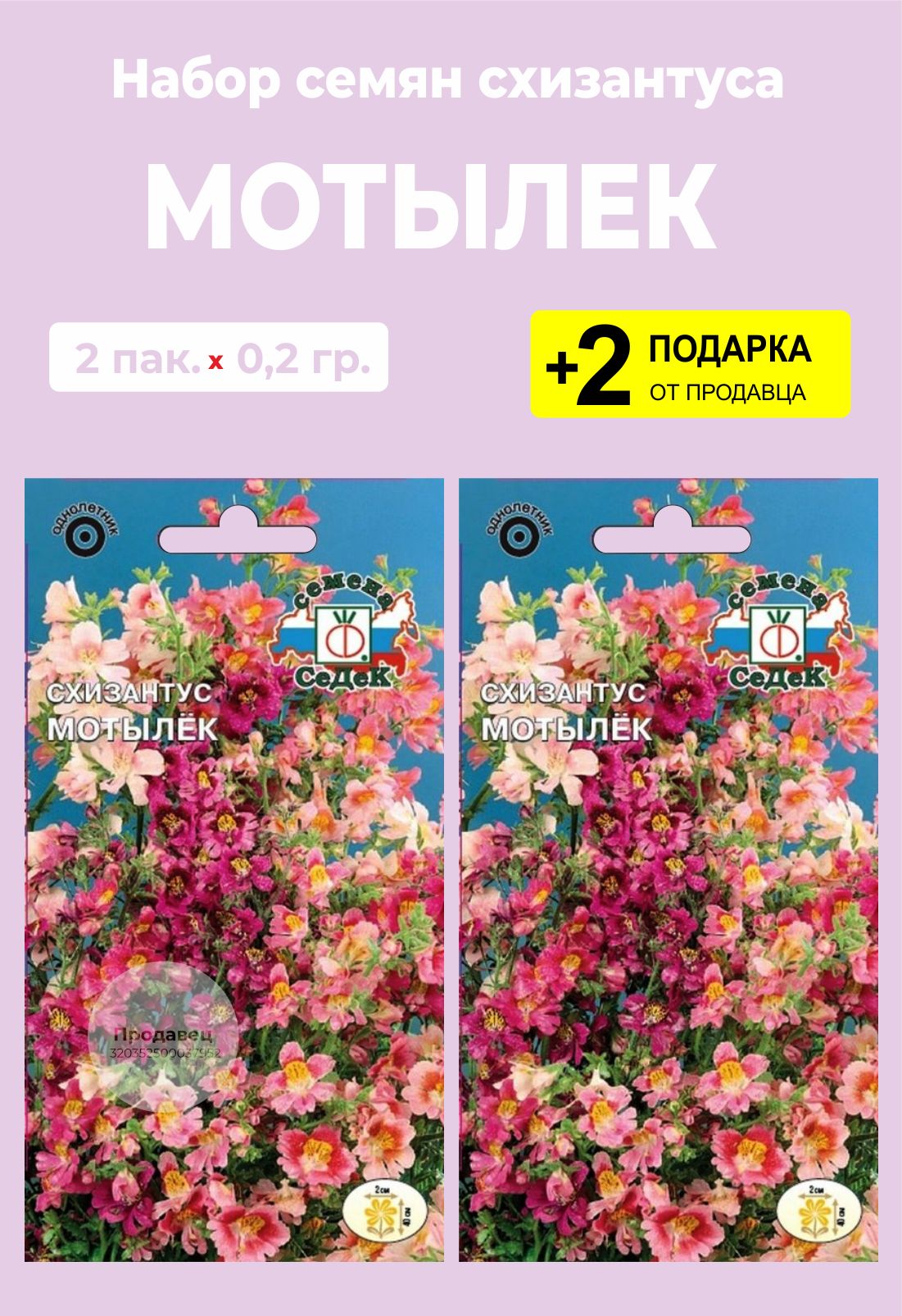 Схизантус Купить Семена В Партнере