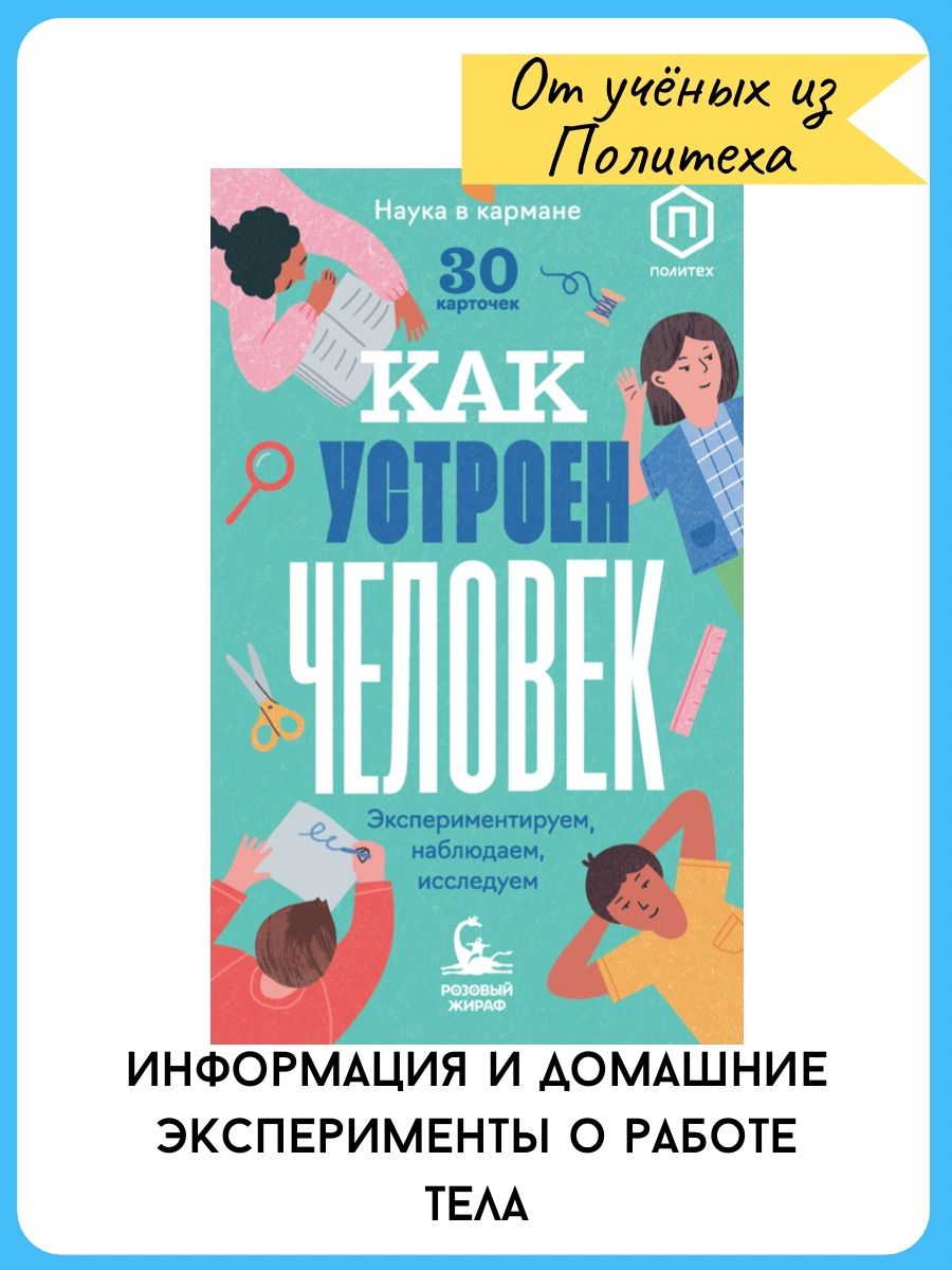 Как устроен человек (30 карточек) | Кравченко Ася - купить с доставкой по  выгодным ценам в интернет-магазине OZON (771019602)