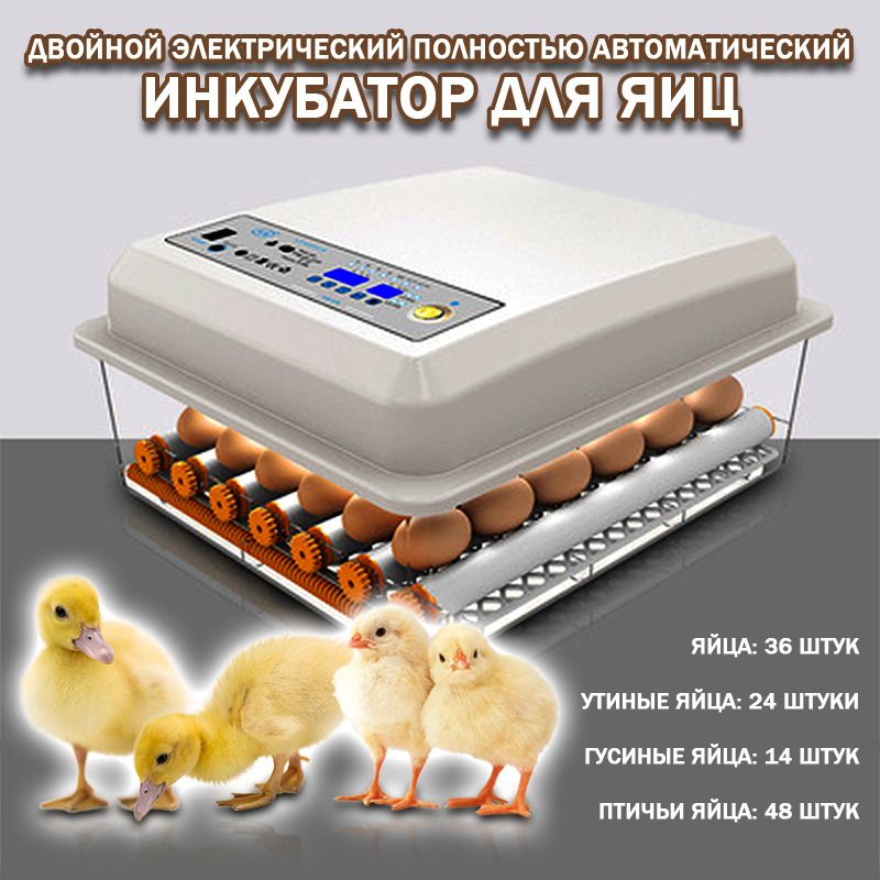 Какой Инкубатор Лучше Купить Отзывы Форум