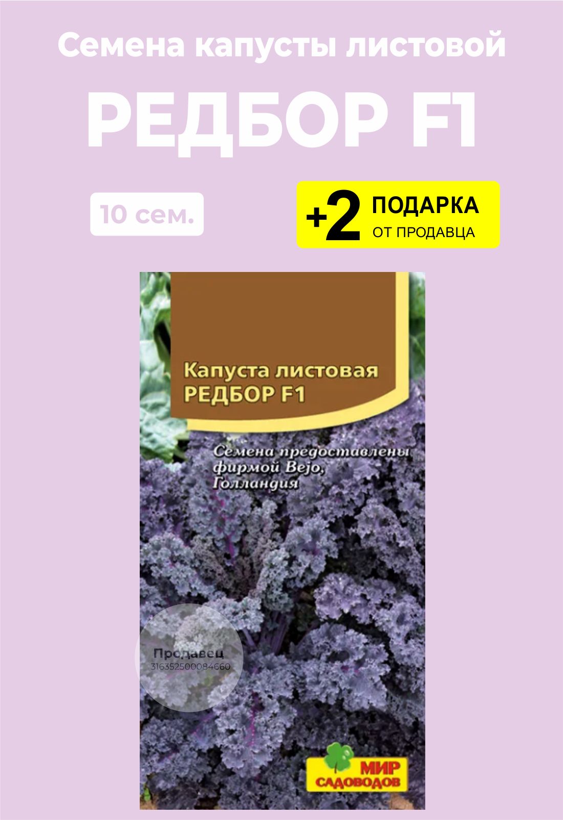 Капуста Редбор Фото
