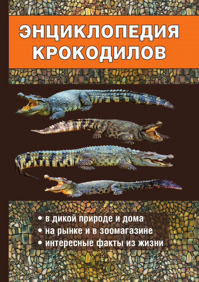 Энциклопедия крокодилов - купить с доставкой по выгодным ценам в  интернет-магазине OZON (729734238)