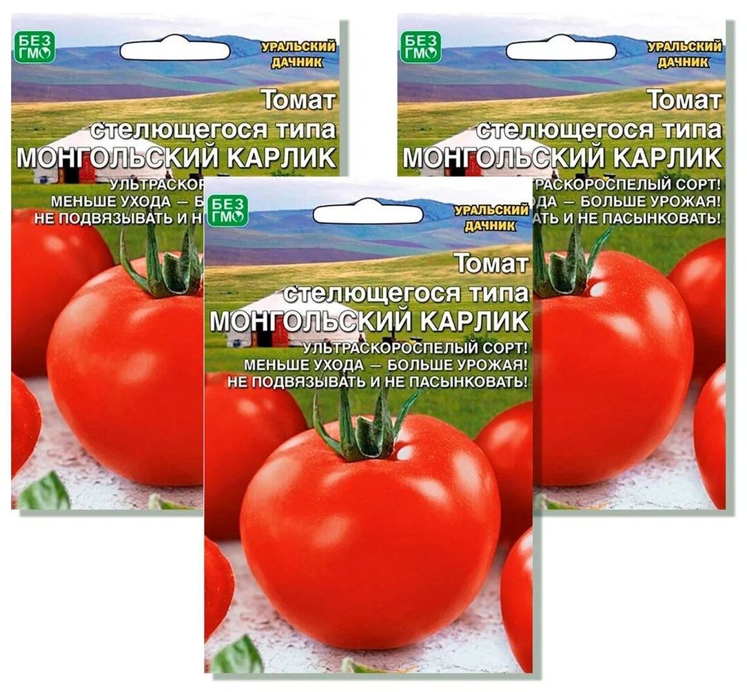 Томат монгол карлик схема посадки