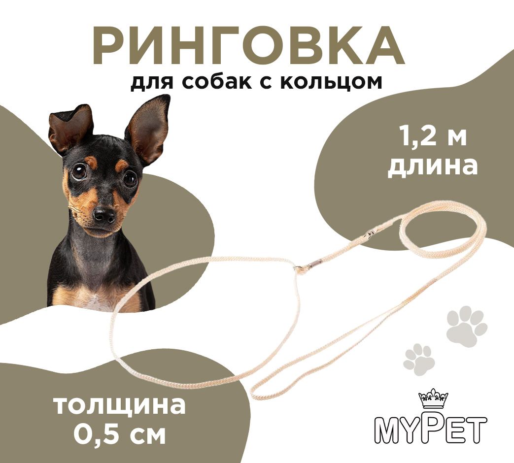 myPet Ринговка для собак с кольцом для выставок и дрессировки (Слоновая кость)