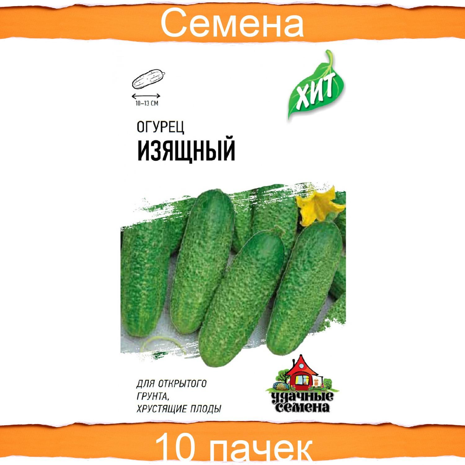 Семена Огурцов Изящный Купить