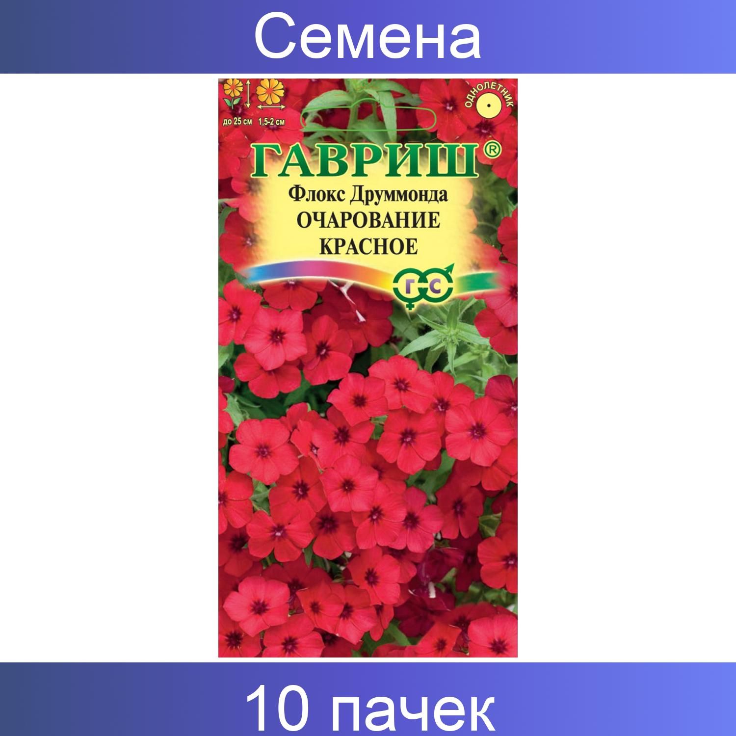 Флоксы Однолетние Купить Семена