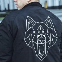 BORZ — купить товары BORZ в интернет-магазине OZON