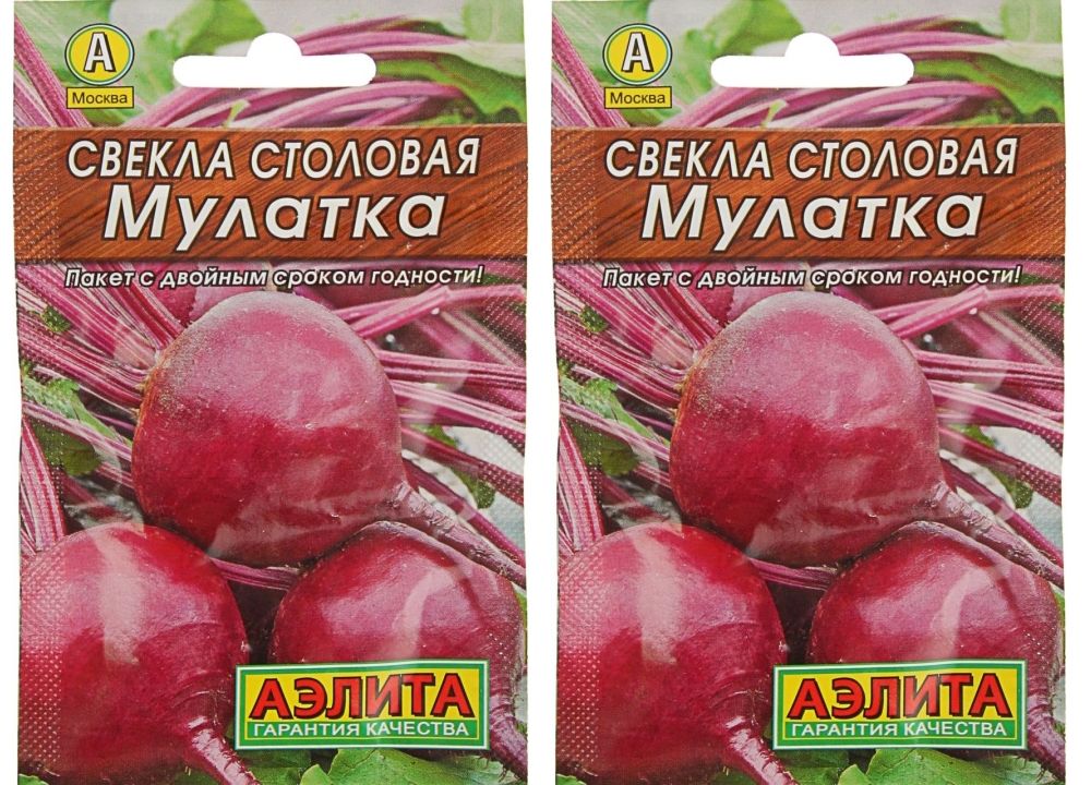 Купить Семена Свеклы Рафинад