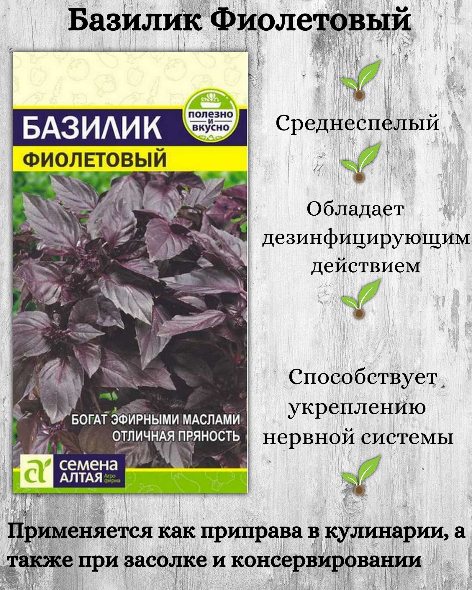 Базилик фиолетовый семена. Базилик фиолетовый. Базилик фиолетовый /АСК/ 0,3 Г. Базилик многолетний фиолетовый. Семена базилика.