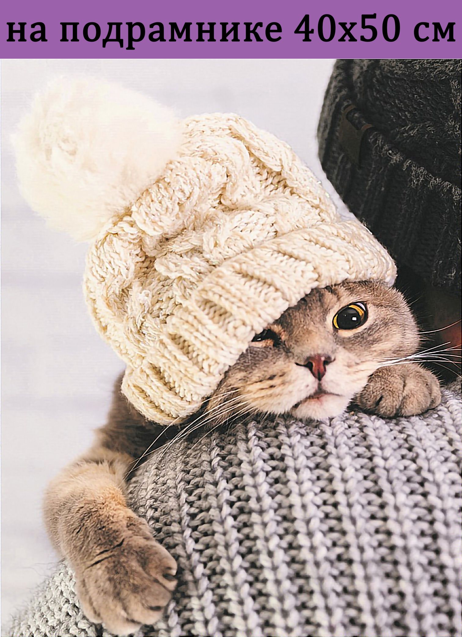 Котика в шапке