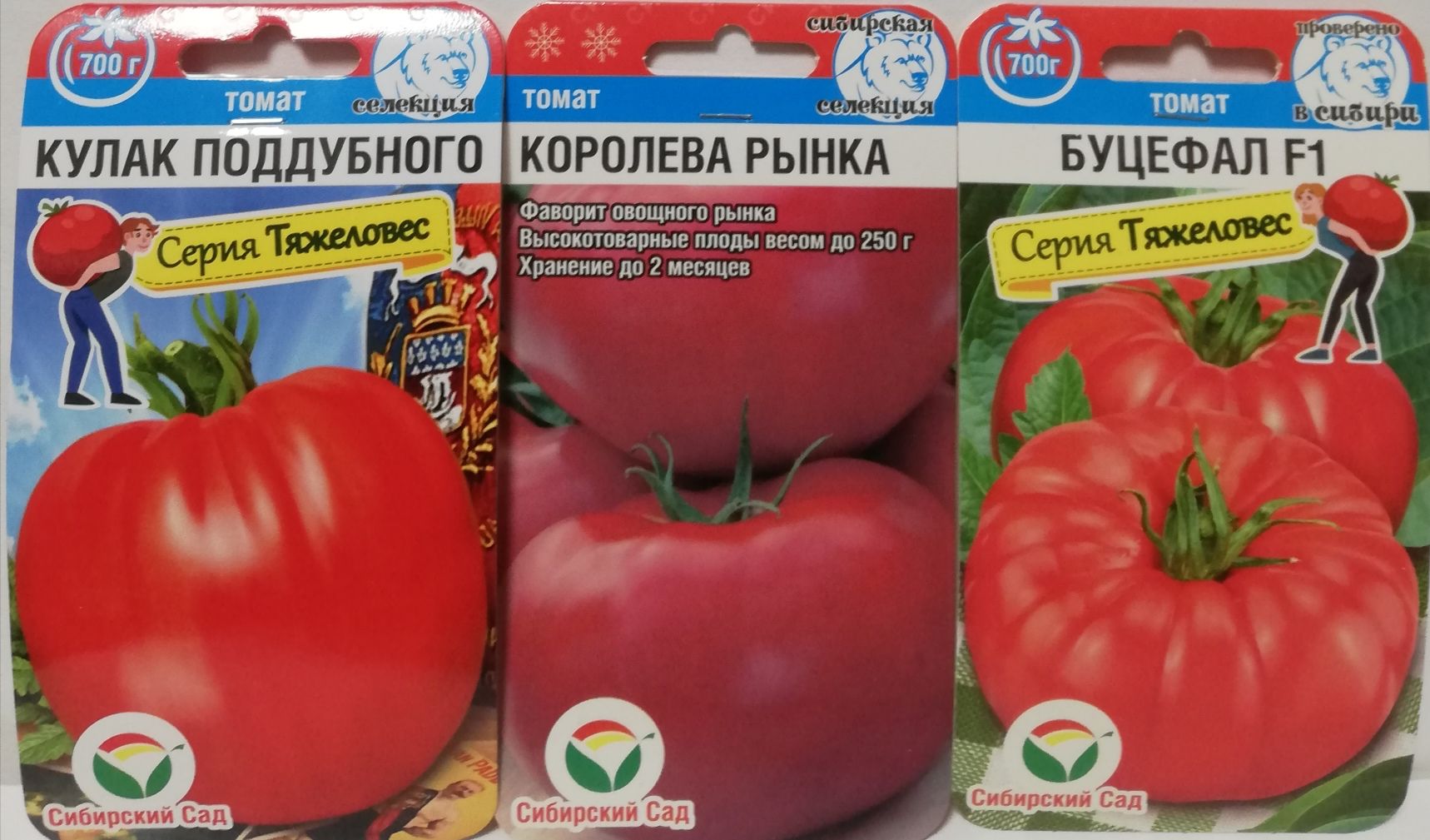Семена томатов королева