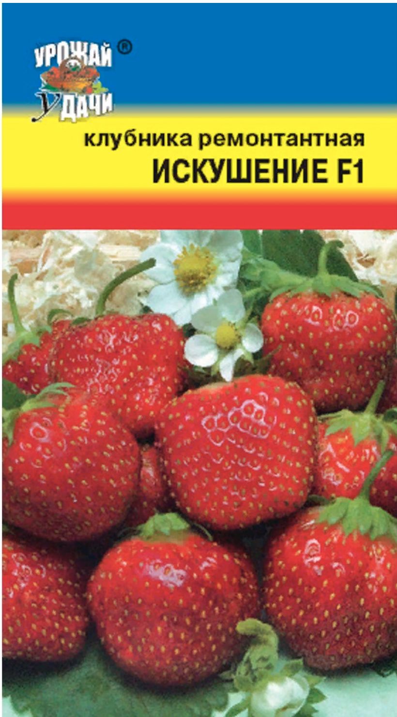 Клубника искушение f1 ремонтантная