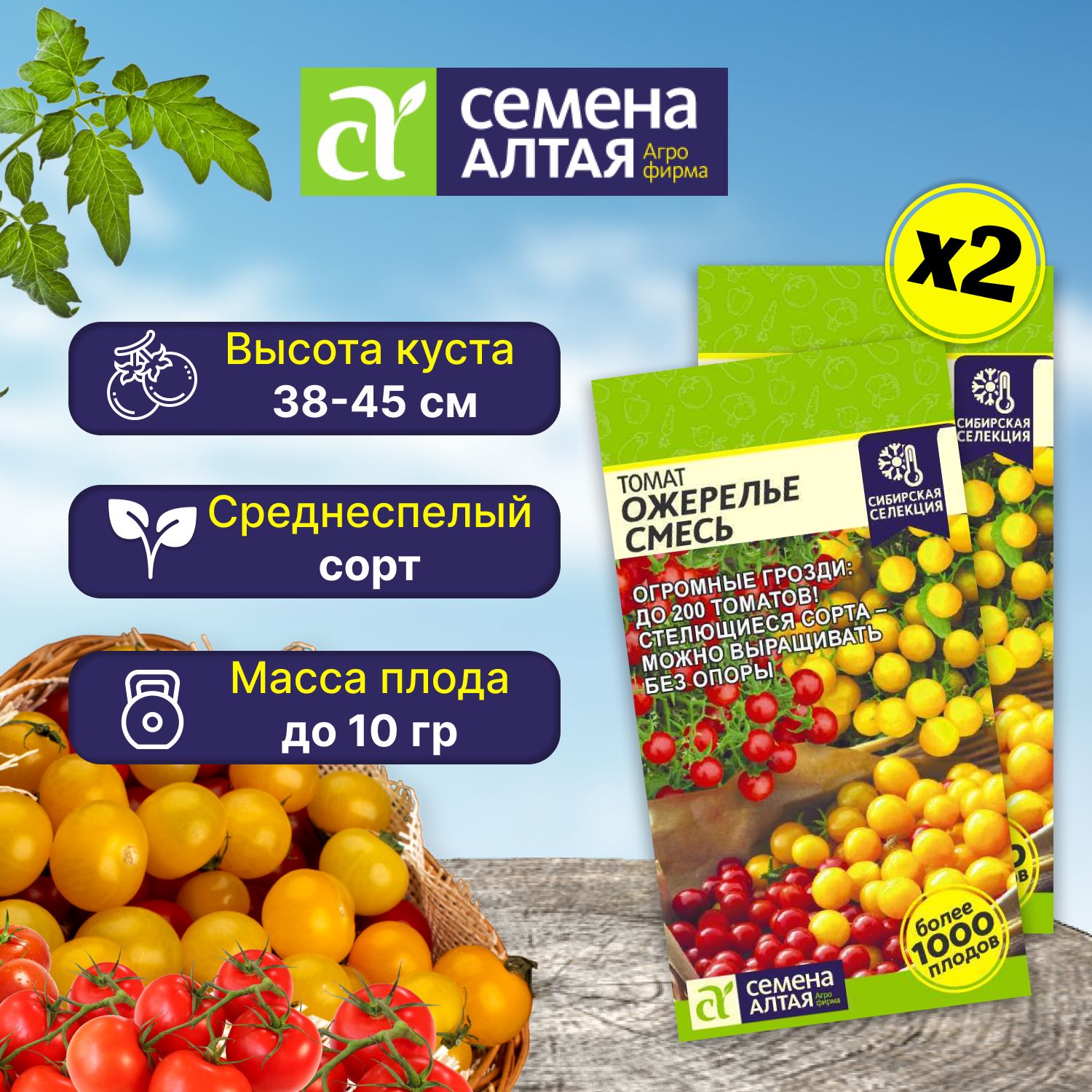 Мамонтенок Томат Семена Алтая Отзывы Фото