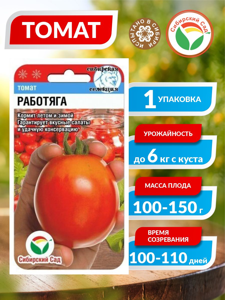 томат птичка-невеличка 20шт сибирский сад. томат работяга. томат красная шапочка 20шт (сиб сад).