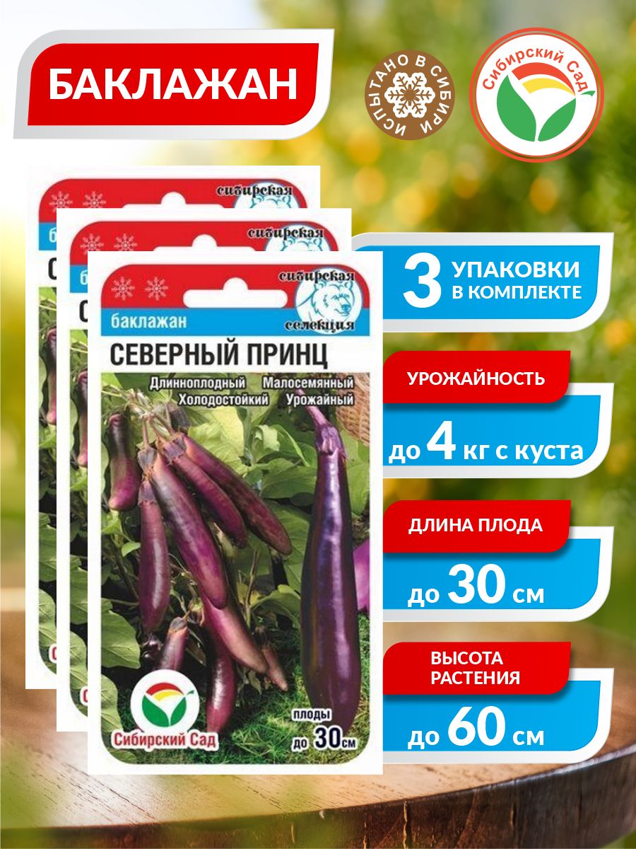 Баклажаны Сибирский сад 63579 - купить по выгодным ценам винтернет-магазине OZON (872481525)