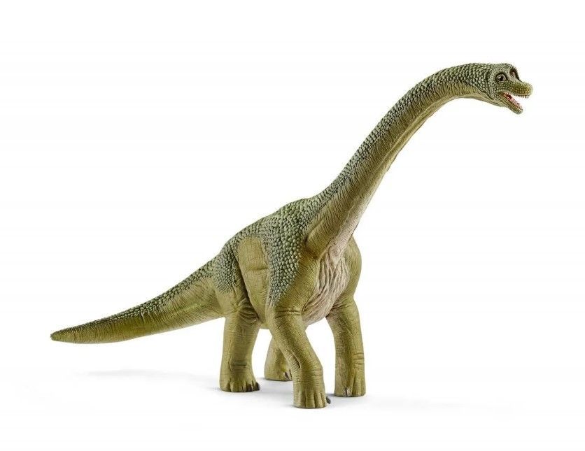 Фигурки динозавров. Schleich Брахиозавр 14581. Фигурки Брахиозавр Schleich 14581. Динозавры Schleich Брахиозавр. Брахиозавр Анкилозавр.