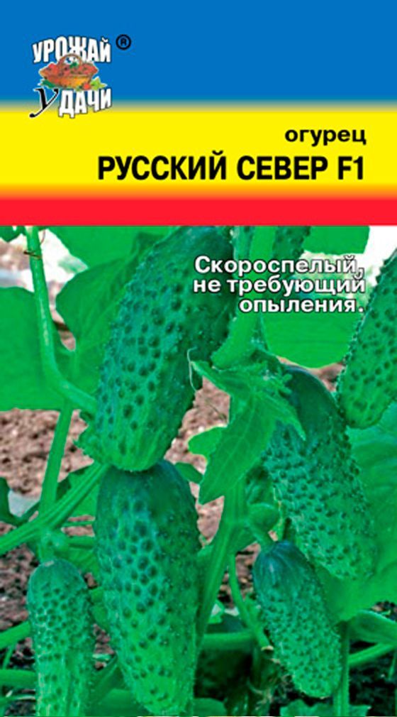 Русский огурец. Огурец мишка на севере f1 - корнишон (уд) новинка!!!. Огурец Дюймовочка f1 ц 0,25г.. Огурцы русские мотивы.