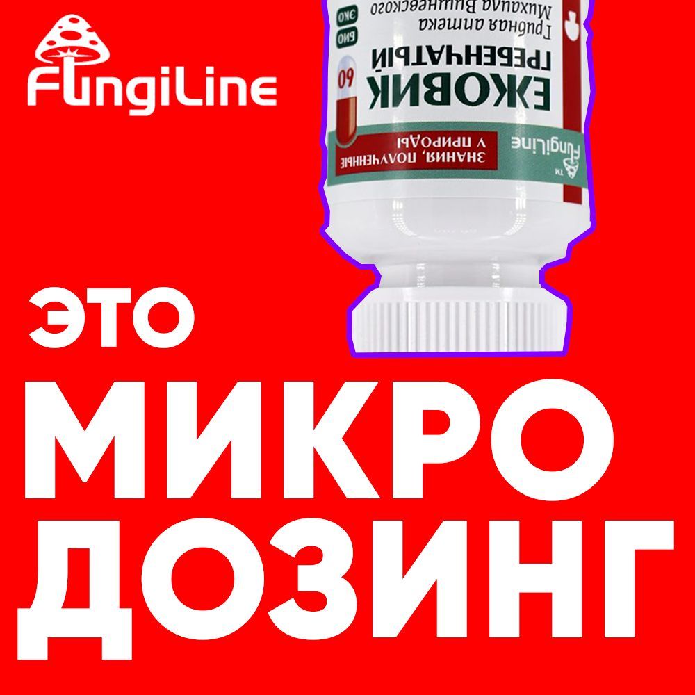 Микродозинг капсулы 60 штук препарат дозировка 0,35 г / гриб сушеный  порошок экстракт в таблетках / без красного пантерного мухомора микродозинг  Вишневского, плодовые тела Ежовика без мицелия - купить с доставкой по  выгодным ...