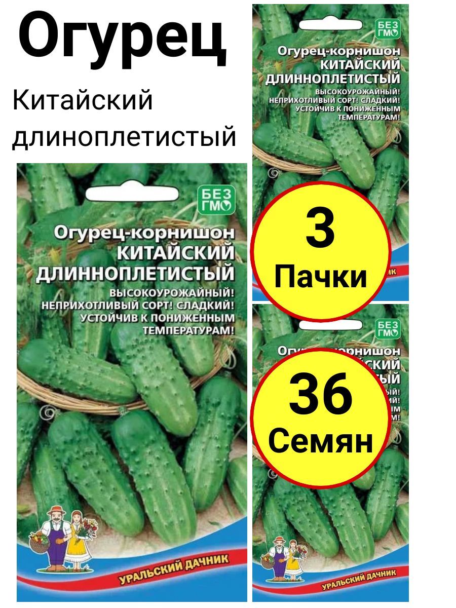 Семена Огурцы Уральский Дачник Купить