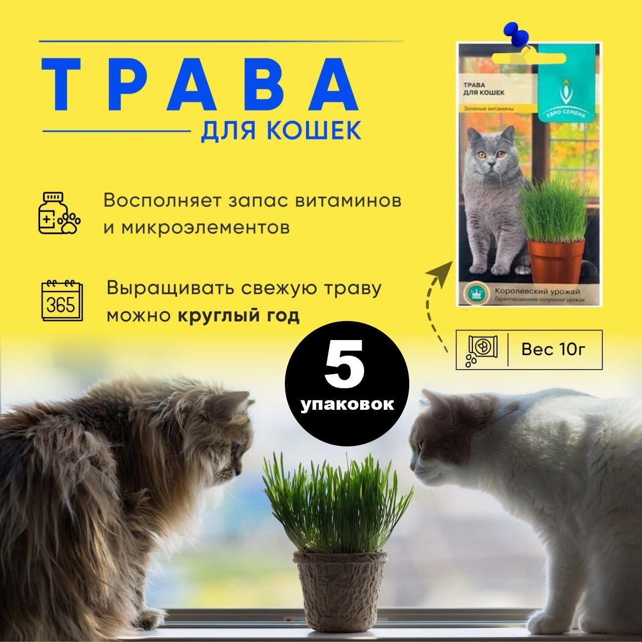 Трава для кошек, лакомство для кошек, 5 штук