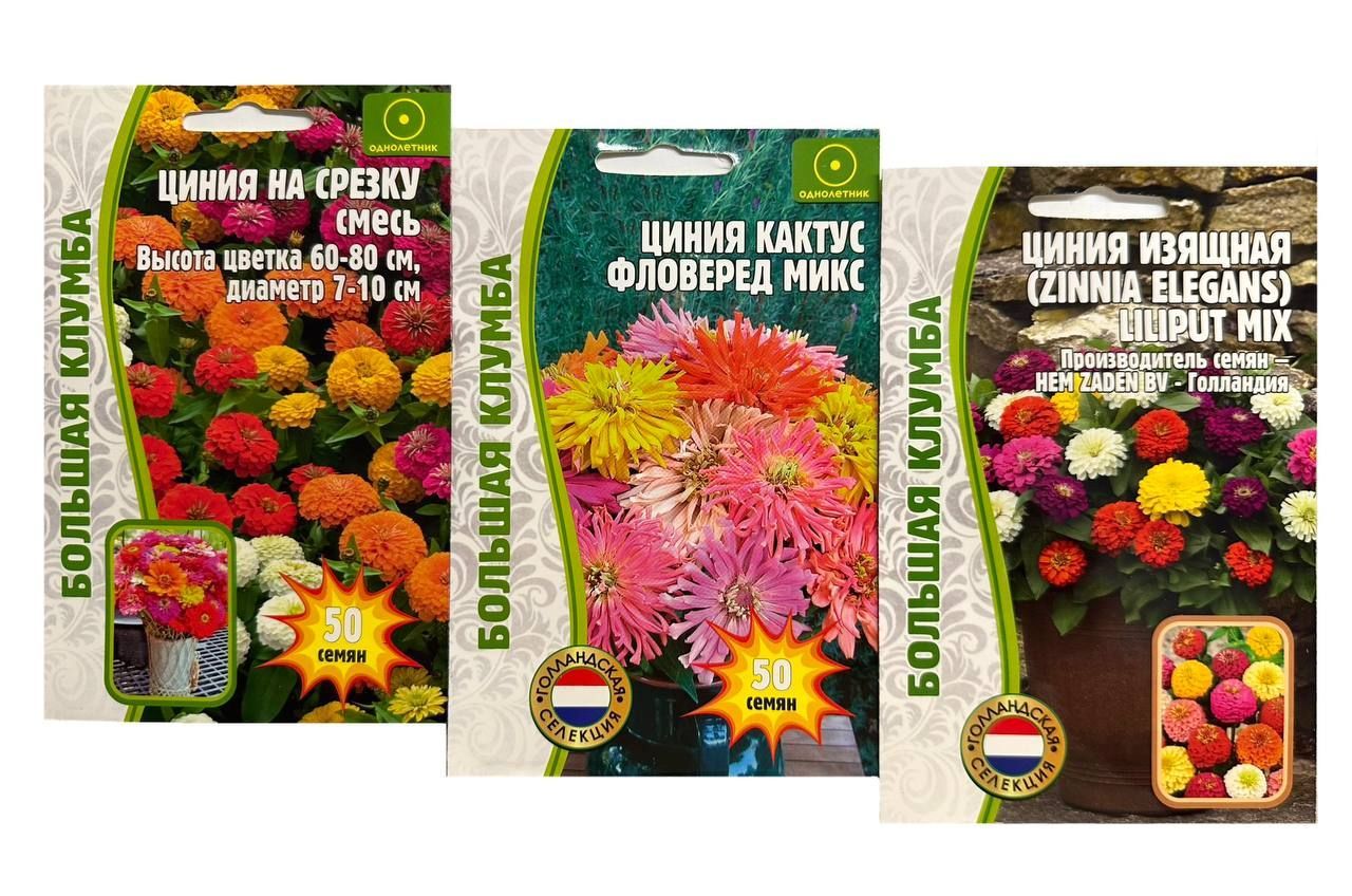 Циния Игольчатая Смесь – купить в интернет-магазине OZON по низкой цене