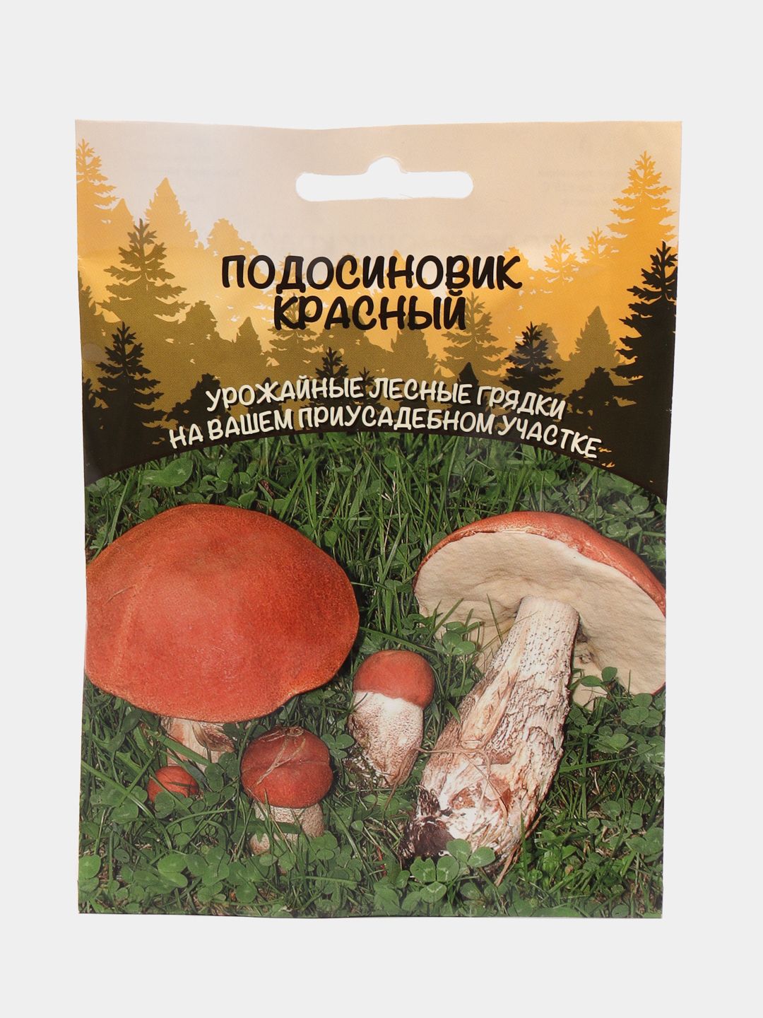 Мицелий грибов подосиновик красный