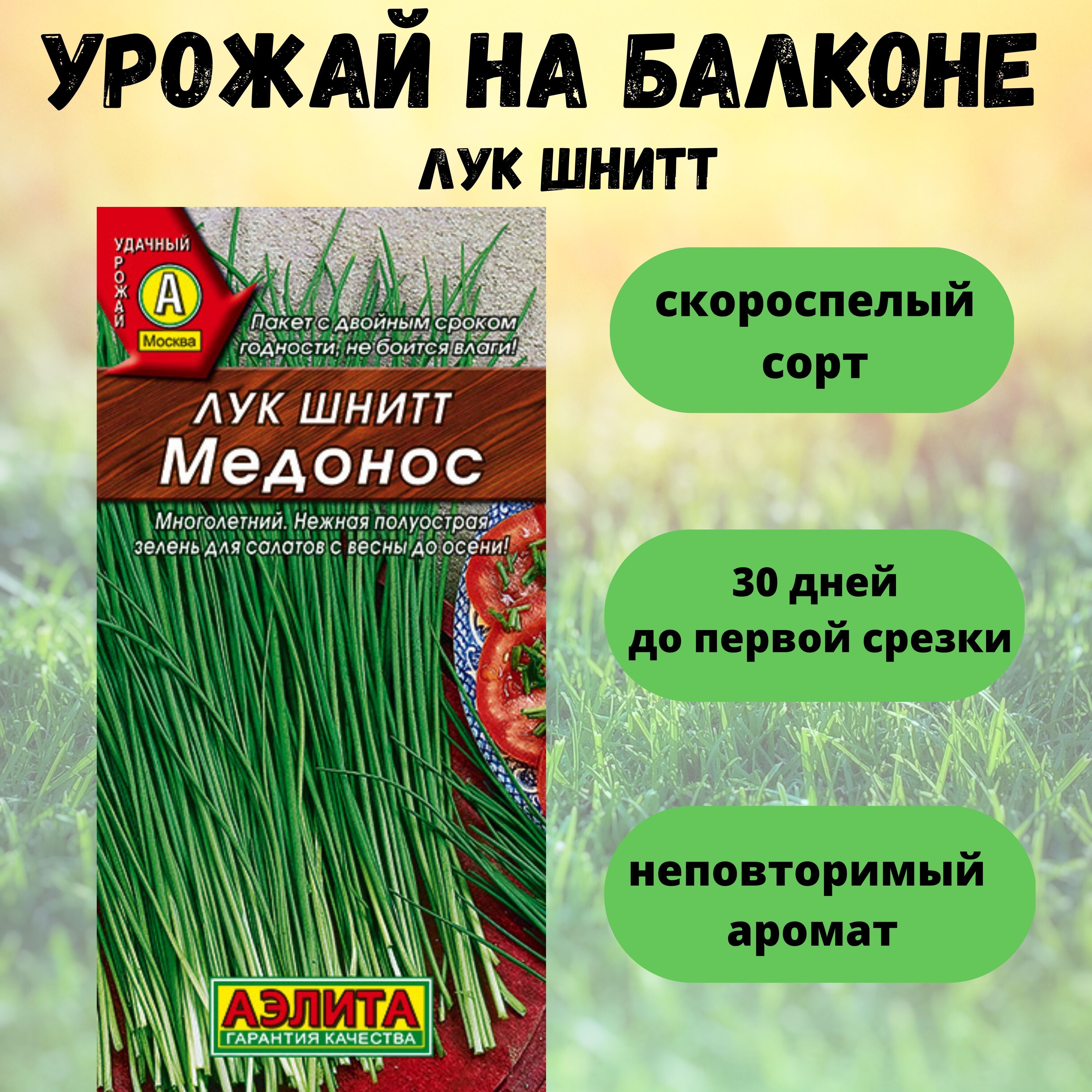 Агрофирма лучники. Лук-батун. Лук батун нежность. Лук батун семена. Лук батун лук батун лук батун.