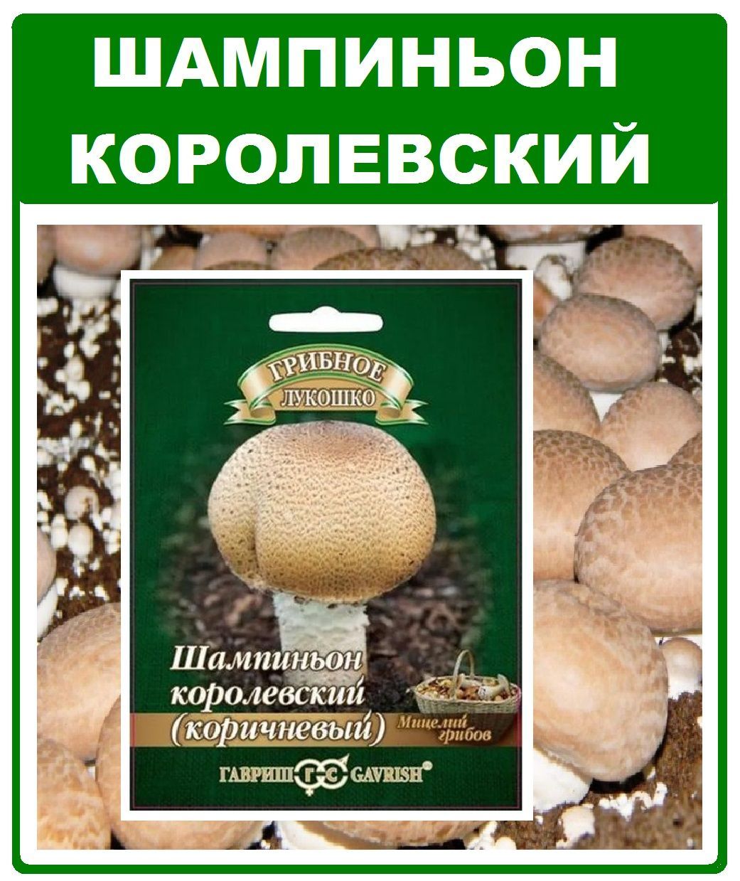 Грибы Шампиньон королевский коричневый мицелий грибов в субстрате 15мл Гавриш