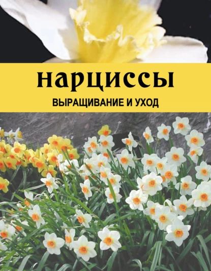 Нарциссы. Выращивание и уход | Резько Дарья Викторовна | Электронная книга