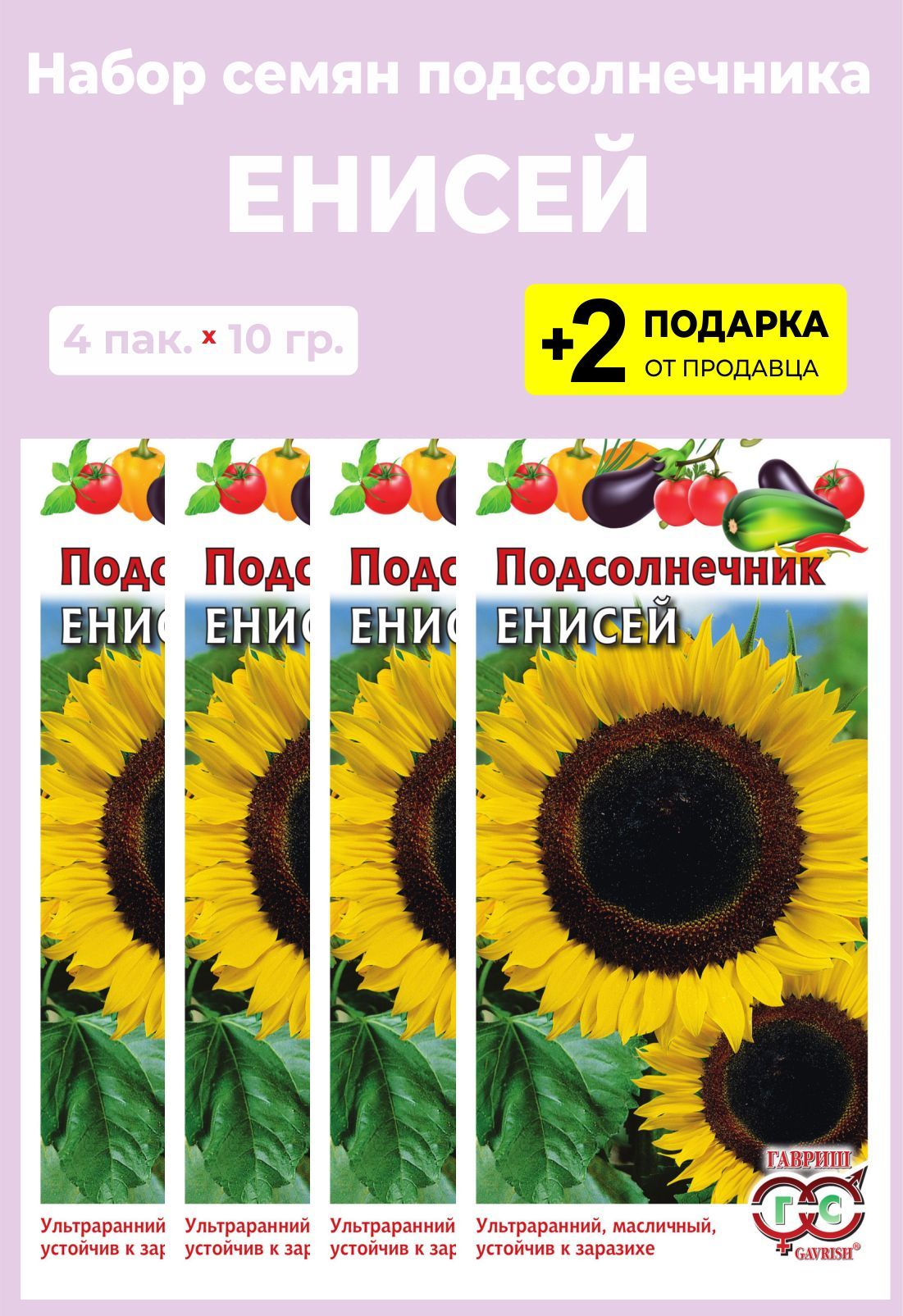 Семена Подсолнечника Енисей Купить