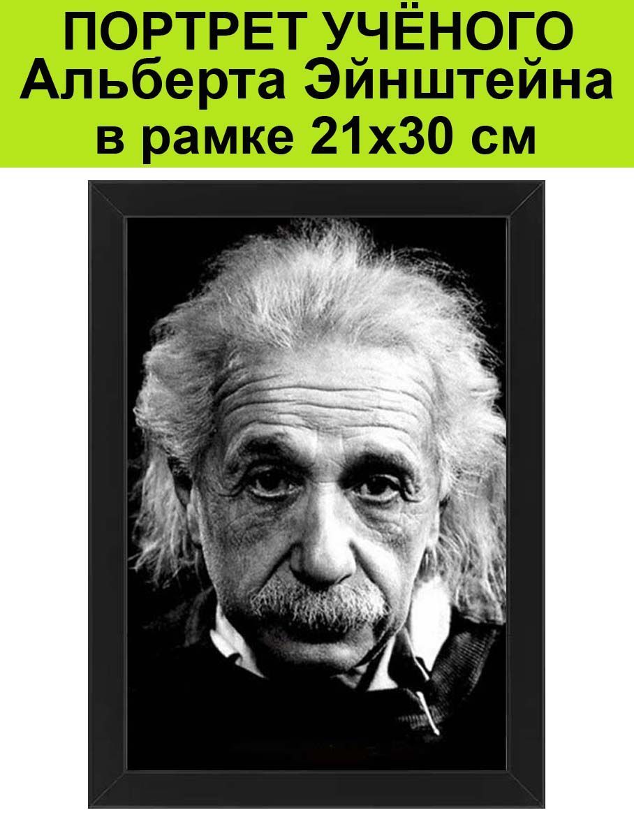 Портреты учёных - Альберт Эйнштейн в рамке 21х30 см / постер - купить по  низкой цене в интернет-магазине OZON (1008523452)