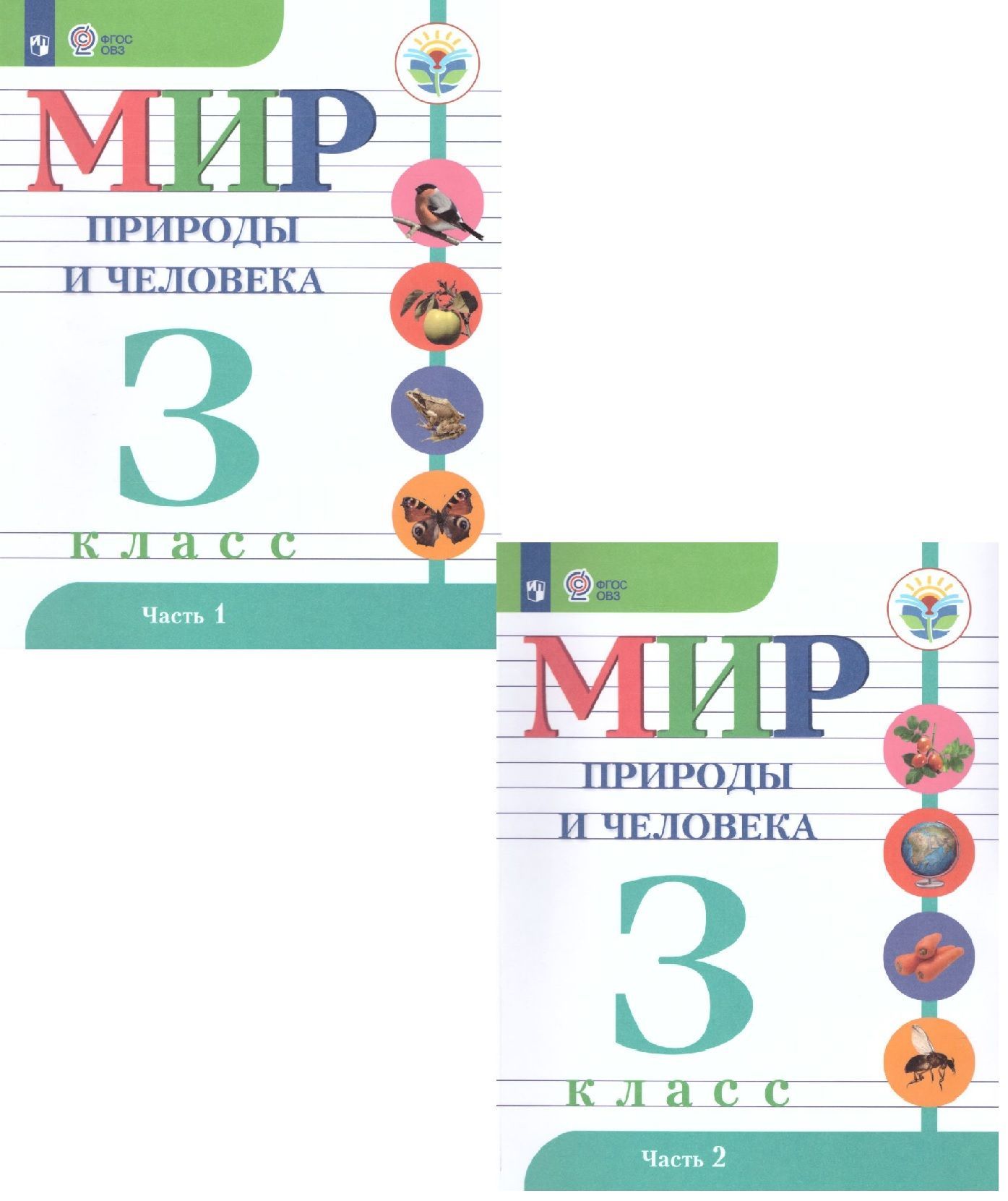 Атлас к учебнику окружающий мир 3 класс плешаков. Мир природы 2 класс овз учебник. Мир природы и человека 3 класс овз рабочая. Мир природы и человека учебник. Мир природы 2 класс овз учебник.