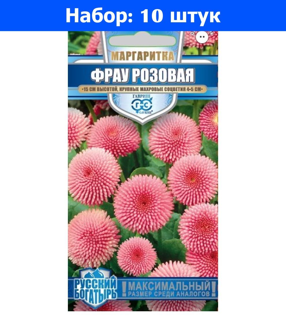 Маргаритки Семена Купить
