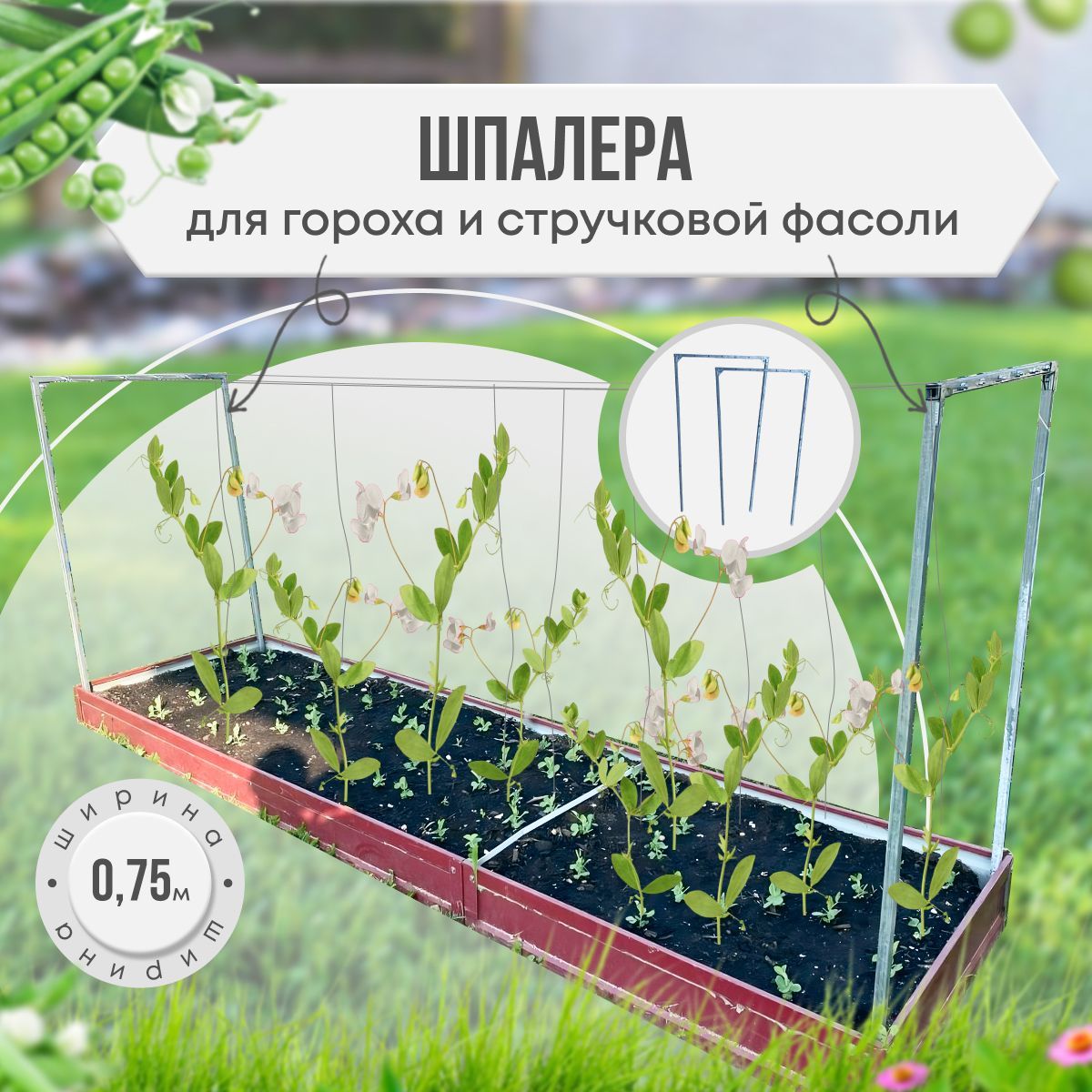 Шпалерадляфасоли
