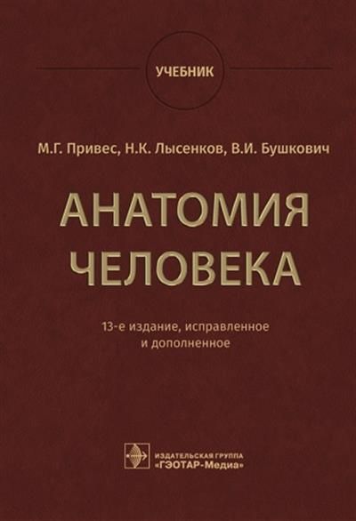 Привес Анатомия Человека - Купить С Доставкой По Выгодным Ценам В.