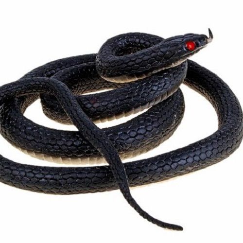 Где можно купить змею. Резиновая змея гадюка. Змея Кобра резиновая HS со звуком 90 см. Резиновая змея Кобра. Резиновые змейки.
