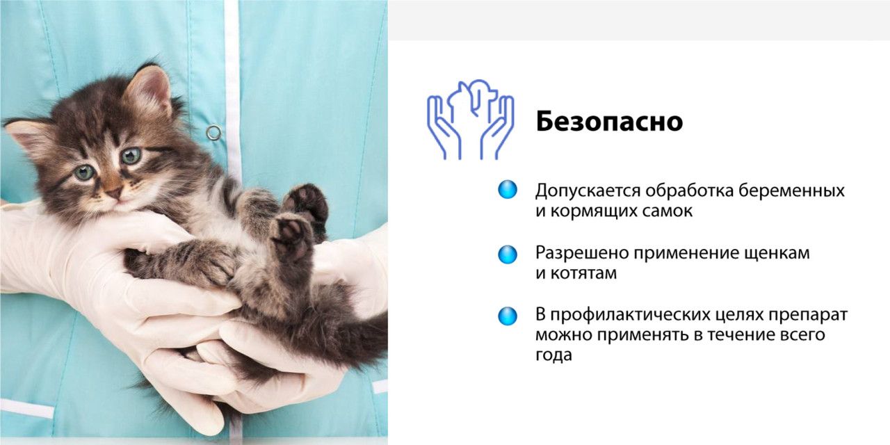 Капли от блох клещей гельминтов Inspector Quadro для кошек от 4 до 8 к(图3)