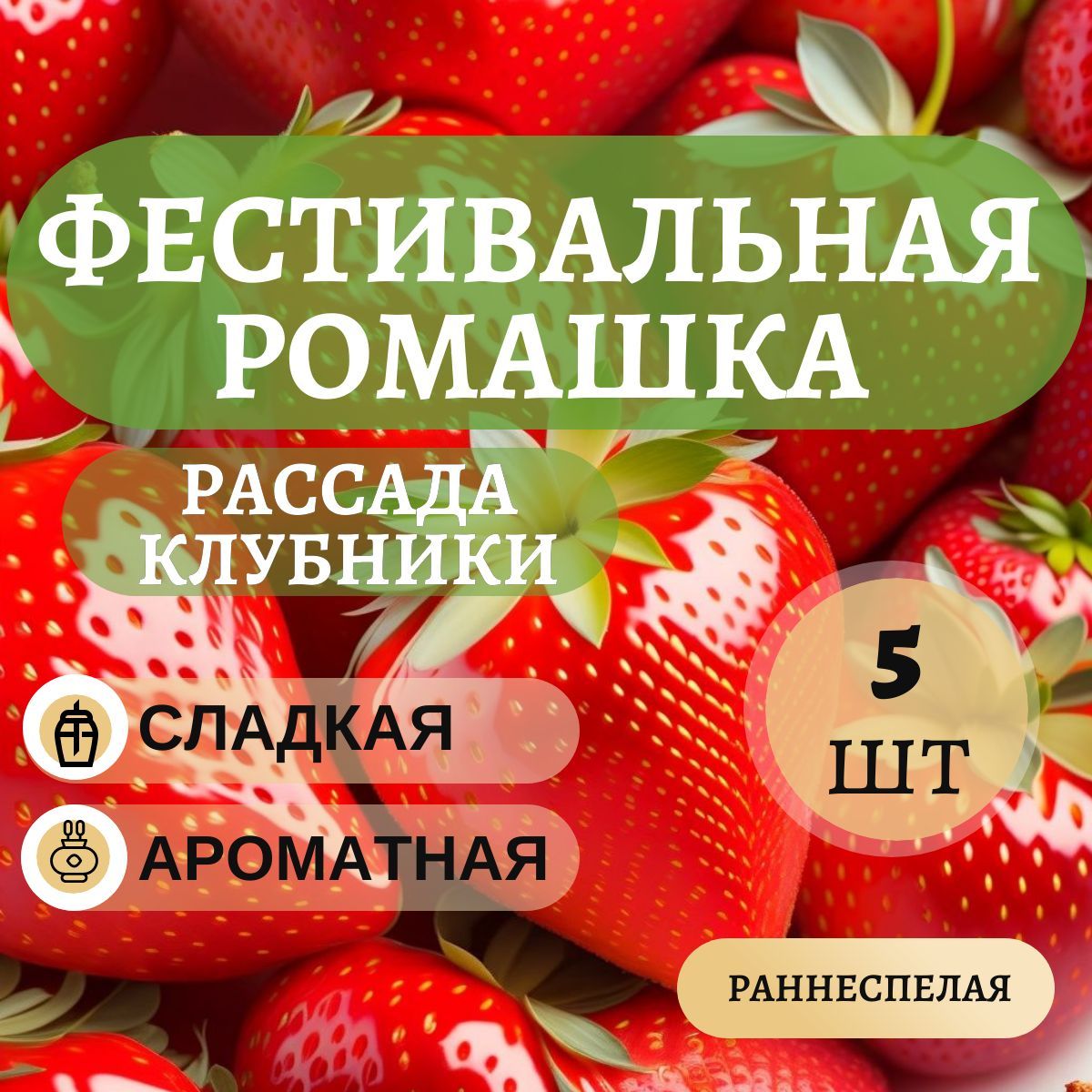 Фестивальная ромашка. Клубника Фестивальная Ромашка. Значок Фестивальная Ромашка фото.