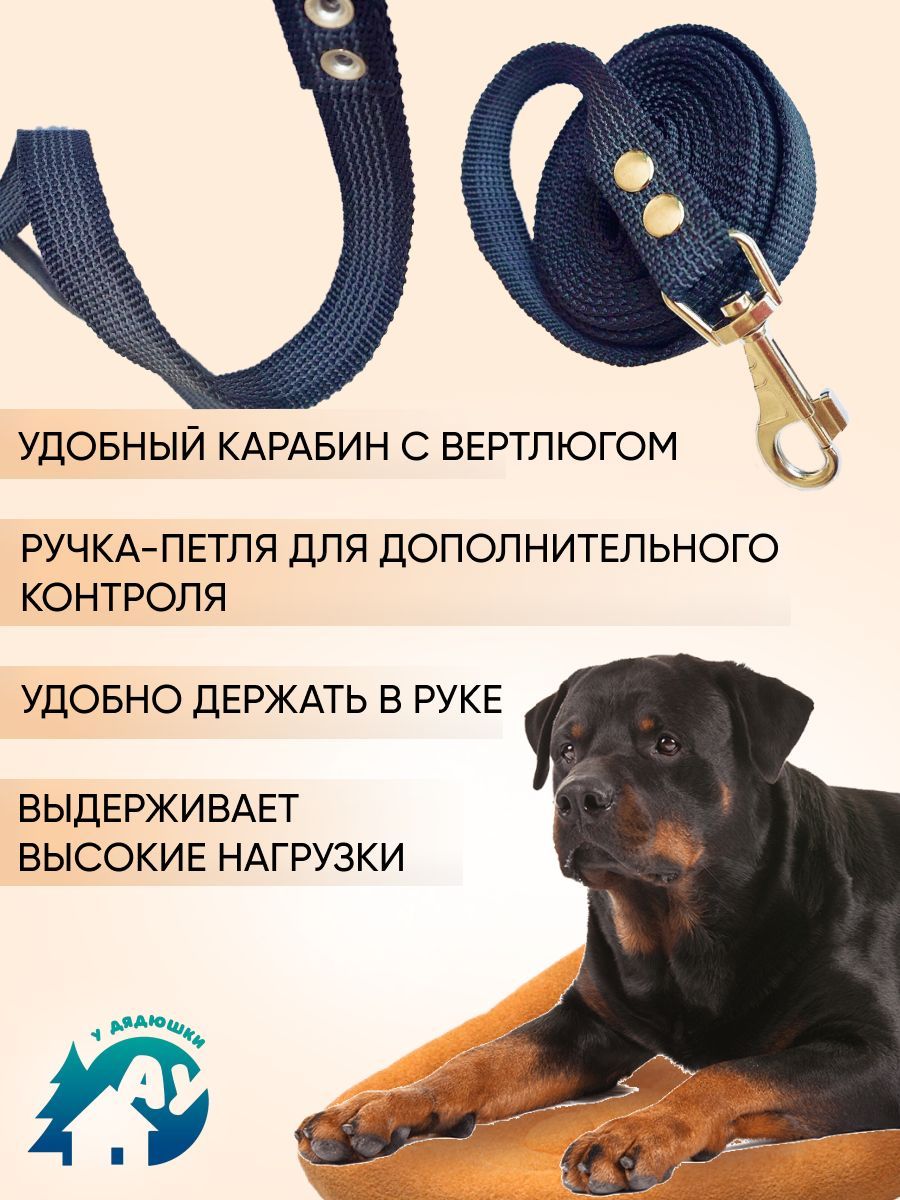 Поводок собаке друг - Российская газета