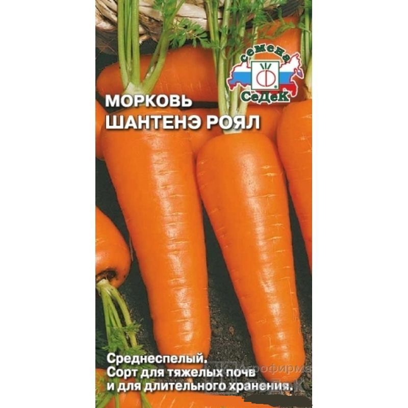 Купить Голландские Семена Морковь