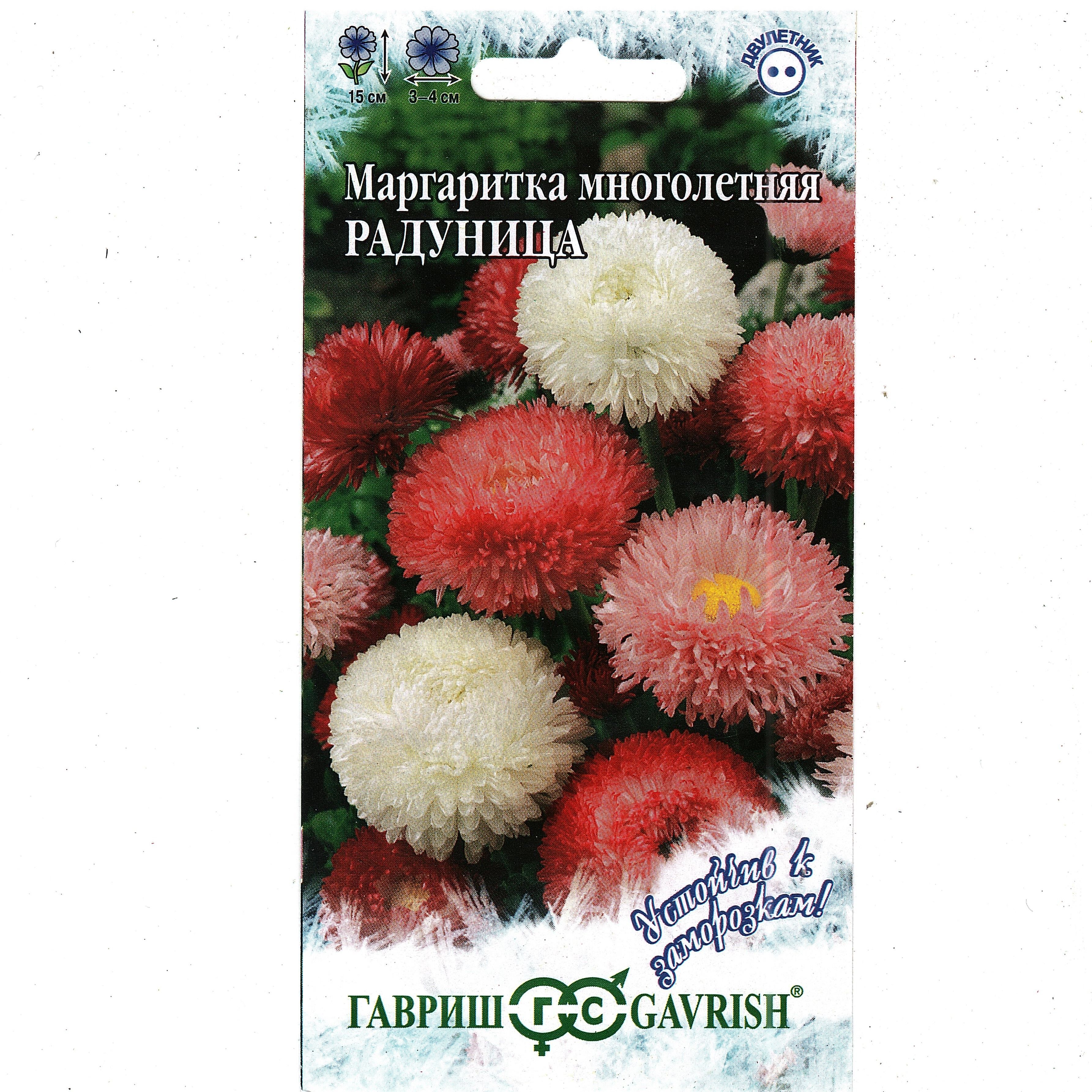 Маргаритки Семена Купить