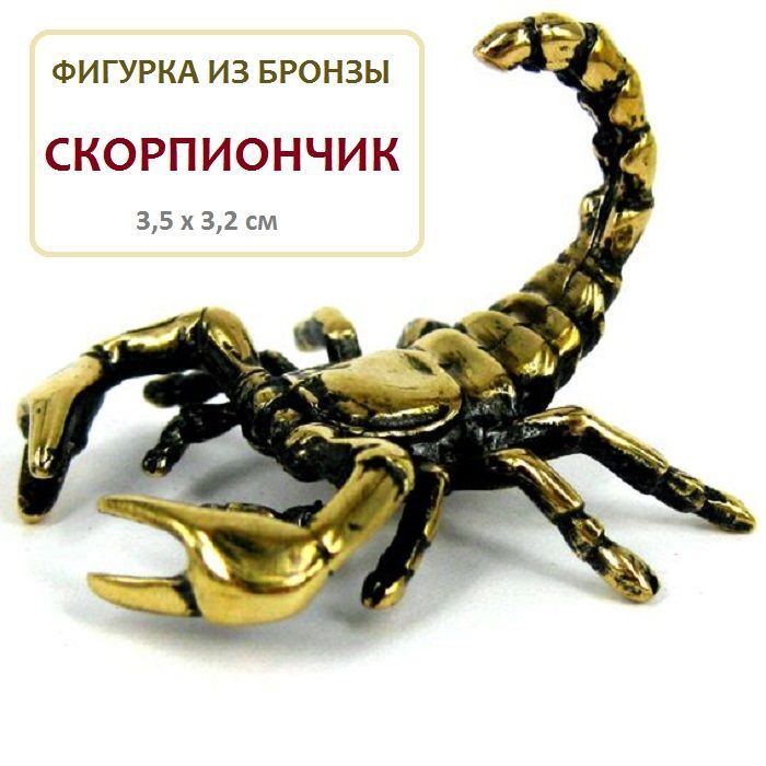 Купить Скорпиона В Екатеринбурге Живого