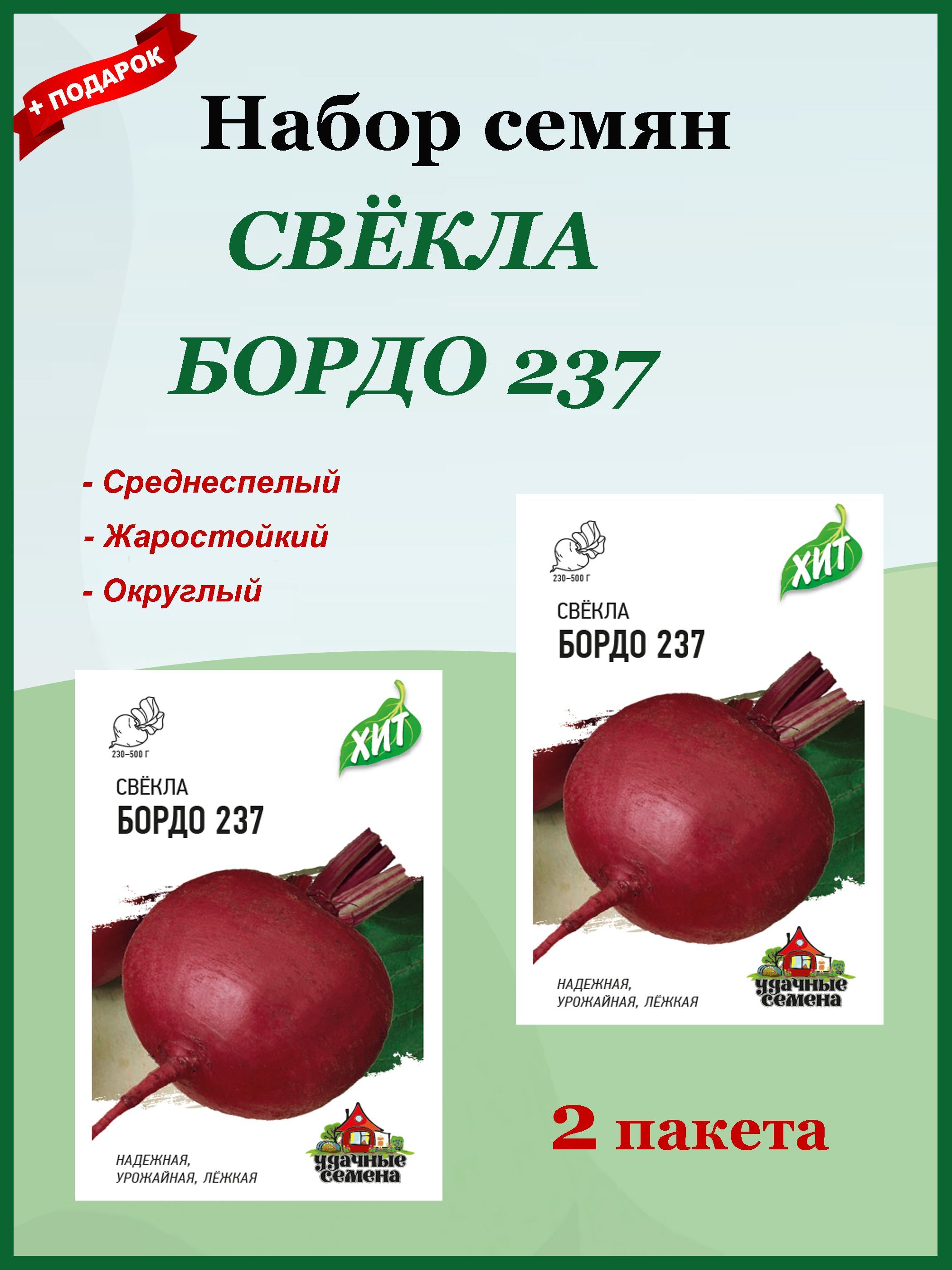 Свекла бордо 237 описание сорта. Свекла сорт «бордо 237». Свёкла бордо описание. Полосатая свекла.