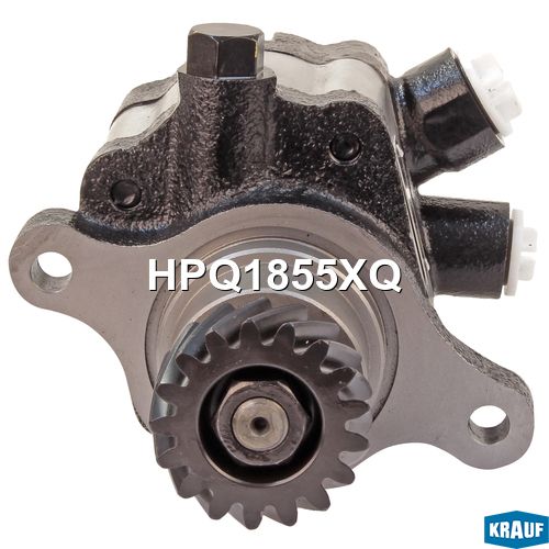 Hpq 6001. Hpq1563xq. Hpq 6001. Hpq1621xq. Hpq1262xq.