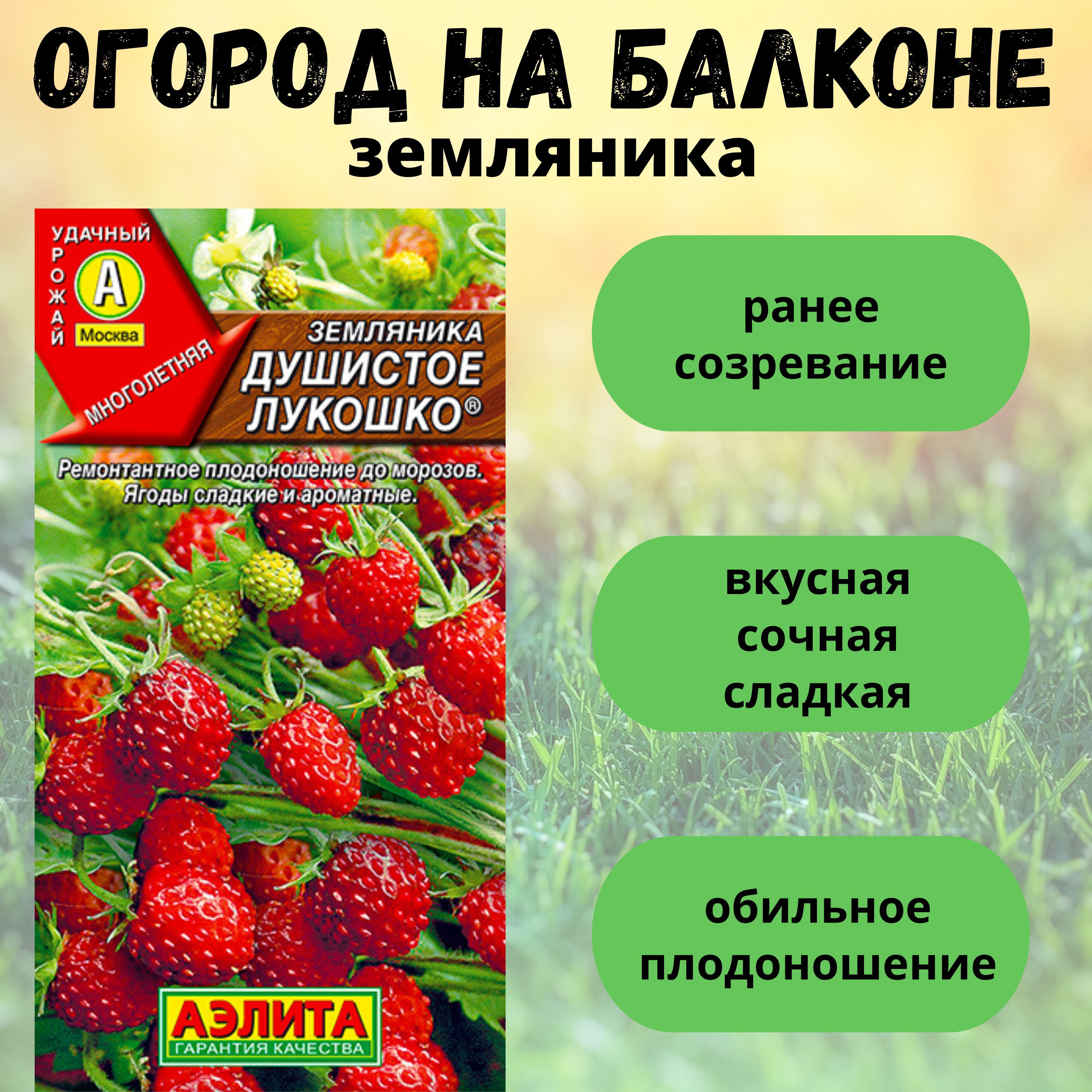 Клубника Для Выращивания Дома – купить в интернет-магазине OZON по низкой  цене