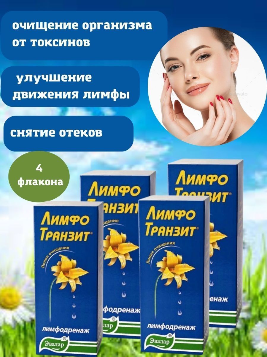 Лимфотранзит Купить В Челябинске В Аптеке