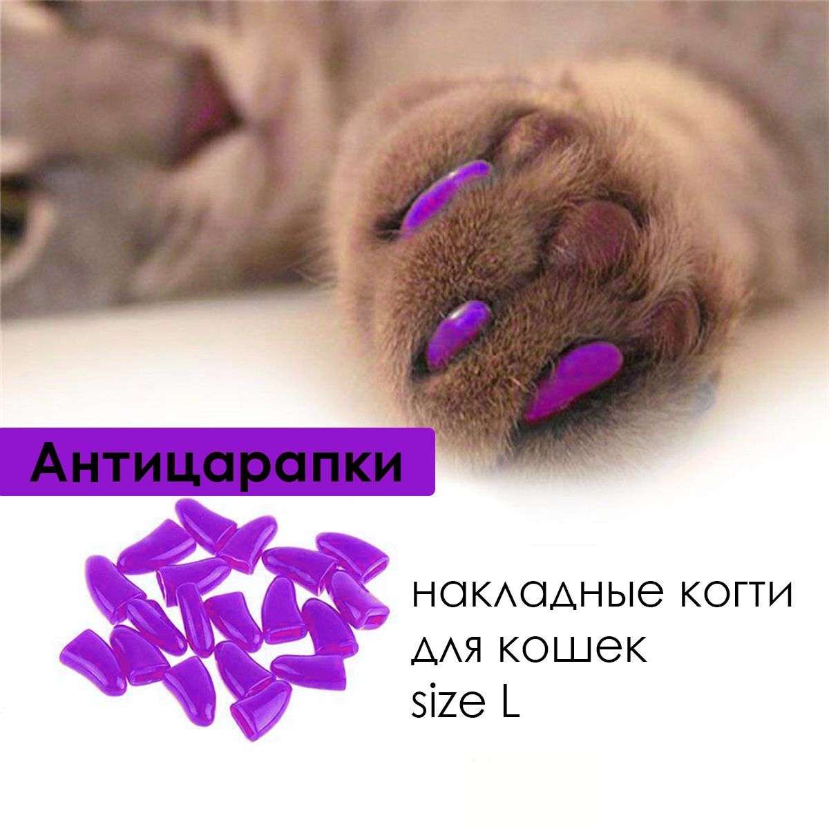 Накладки на когти кошке — как надеть антицарапки коту и как правильно клеить ногти