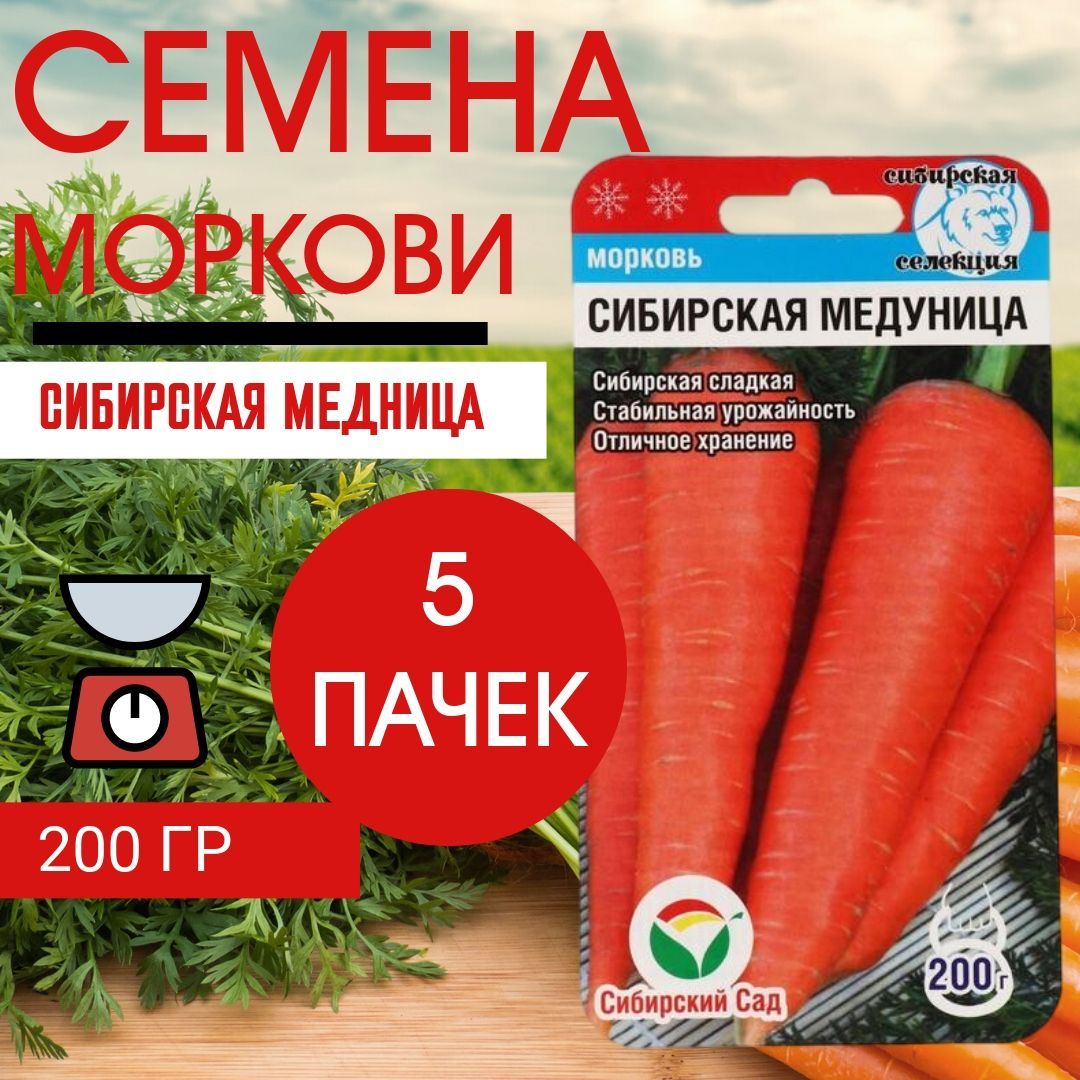 Морковь семена лучшие сорта для сибири